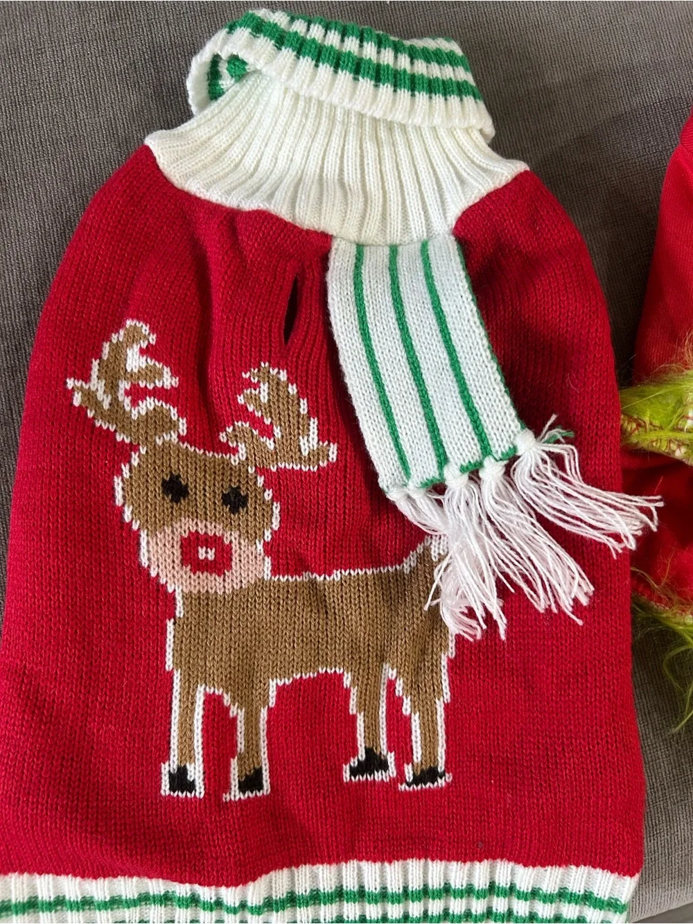 Bark Red Plush Holiday Pet Costume with Lime Trim